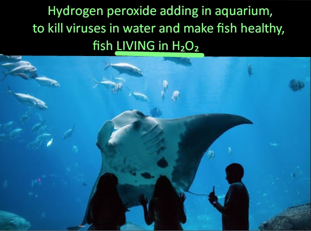 Schtdjudrysetsetseyreenshot_1