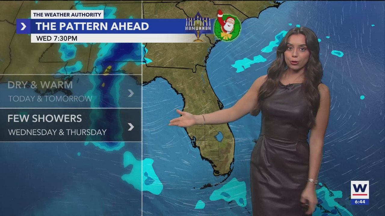 WINK News at 630am_20241223_11301200.ts_snapshot_15.21.513