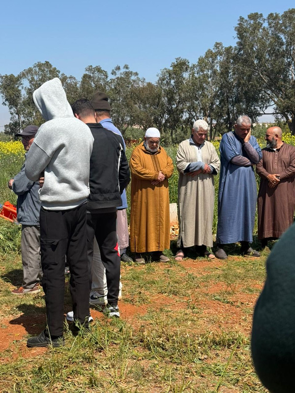 Whats-App-Image-2026-04-06-at-14-17-29