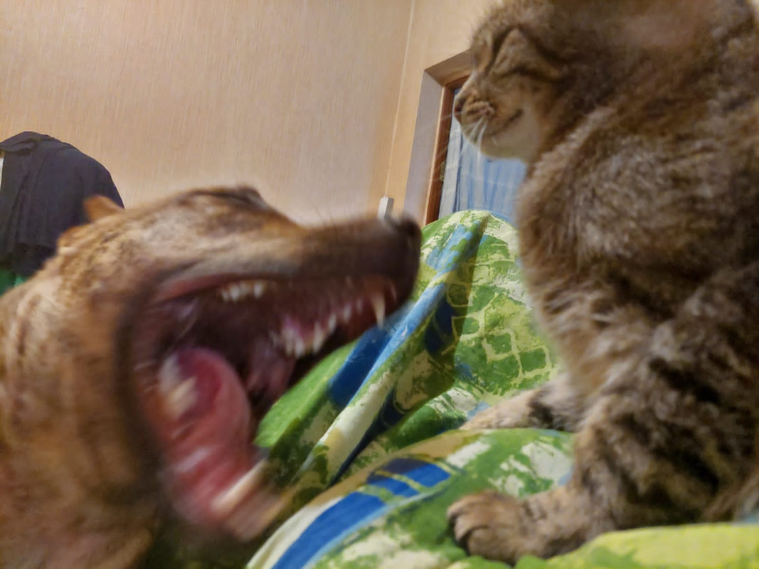 4727FB6C-5473-4D64-918F-5A4A4763815E