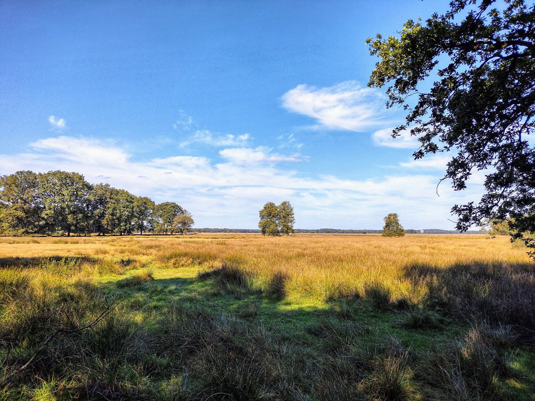 IMG-20230915-153506059-HDR-edited.jpg