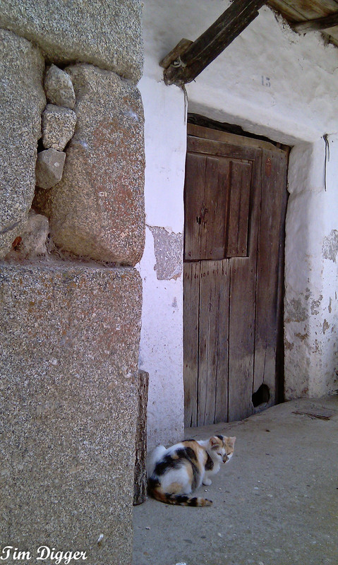 IMAG2143 (2019_06_05 15_27_08 UTC)