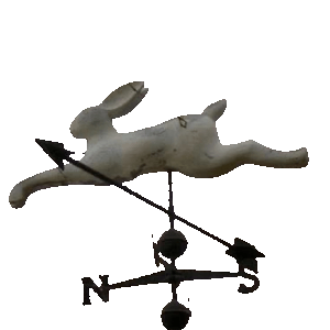 bunny_wind_#1