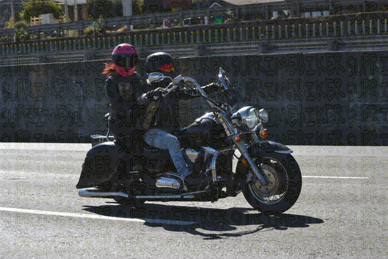 DSC 0648