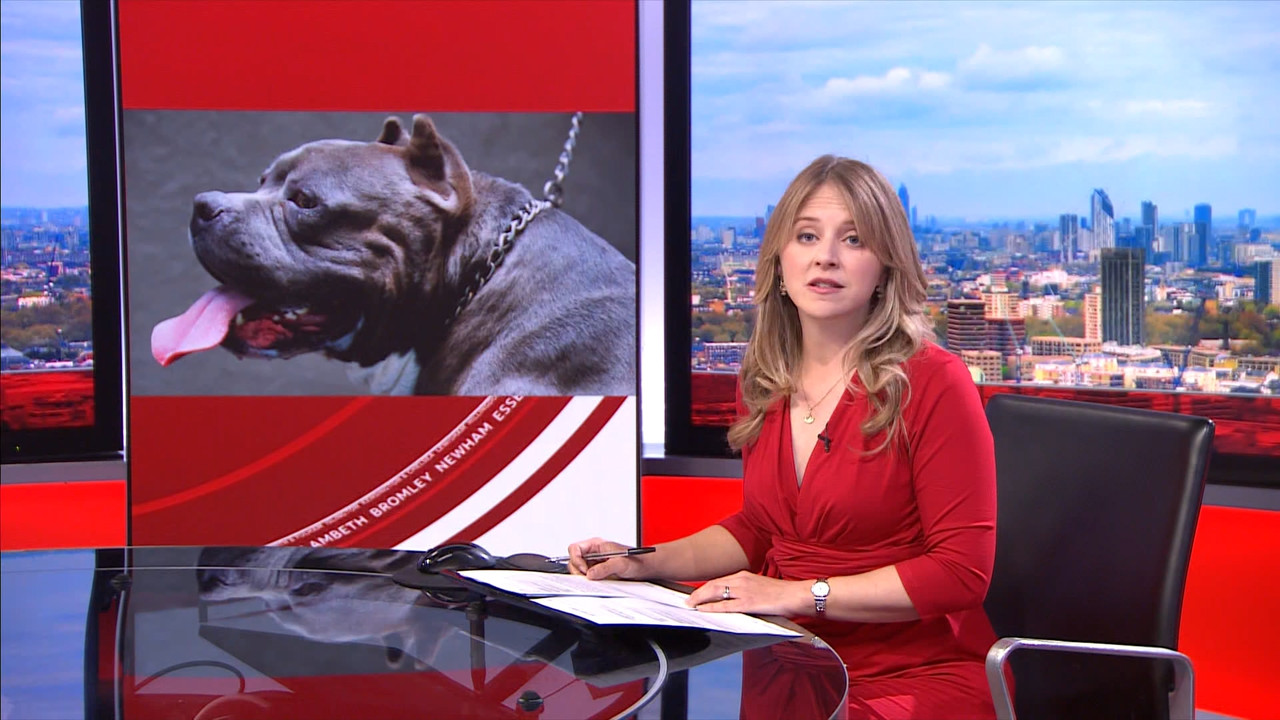 BBC London News_20230923_17201725.ts_snapshot_01.51.089