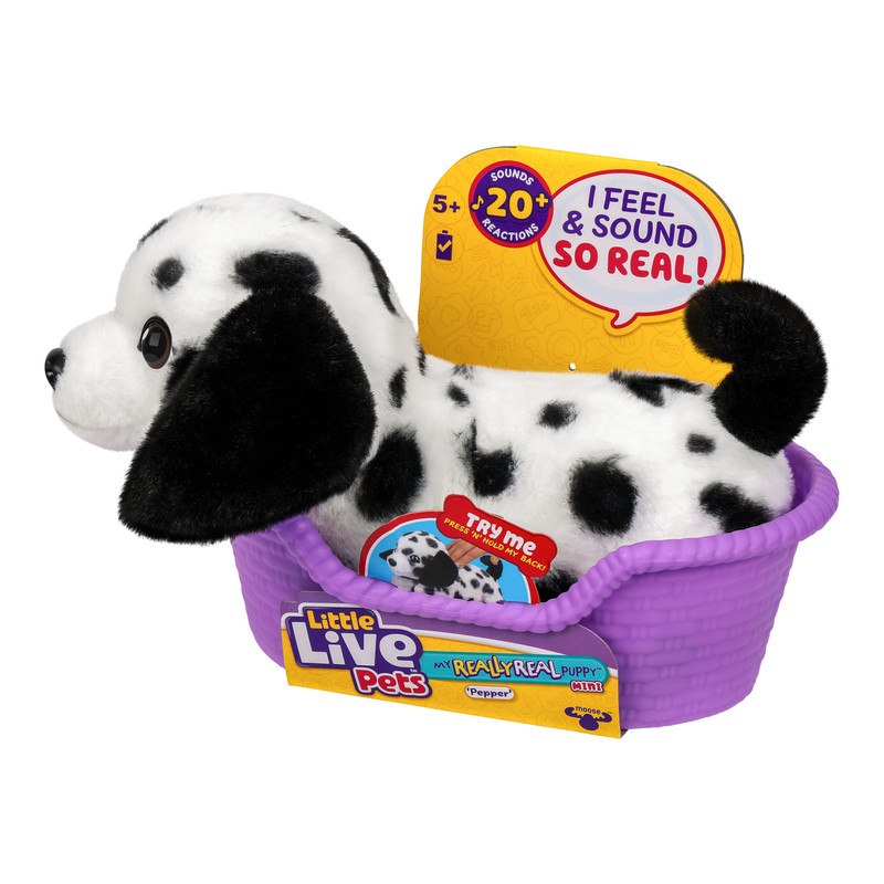 26651 LLP MRR S2 PUPPY MINI PEPPER L