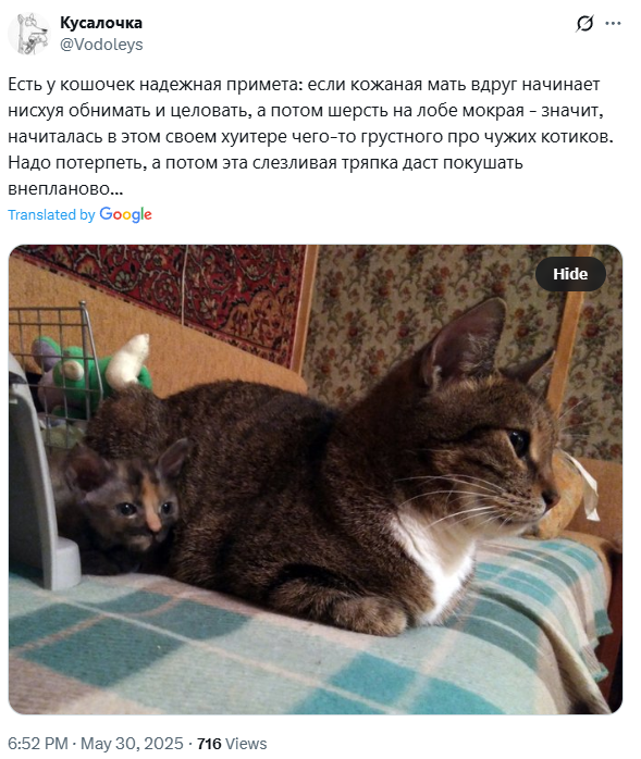 Screenshot-248.png
