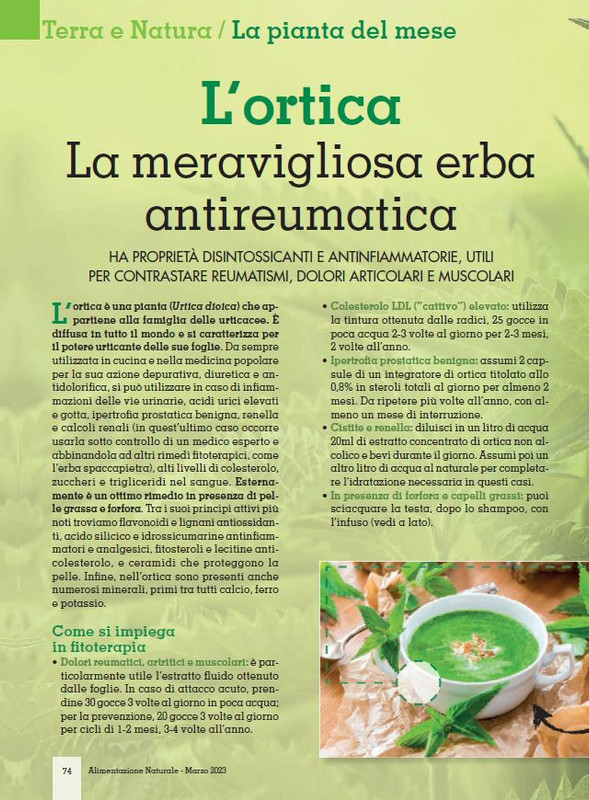 Alim Nat Mar 2023 (11)