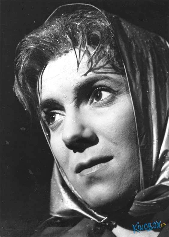 Vlasta Chramostová