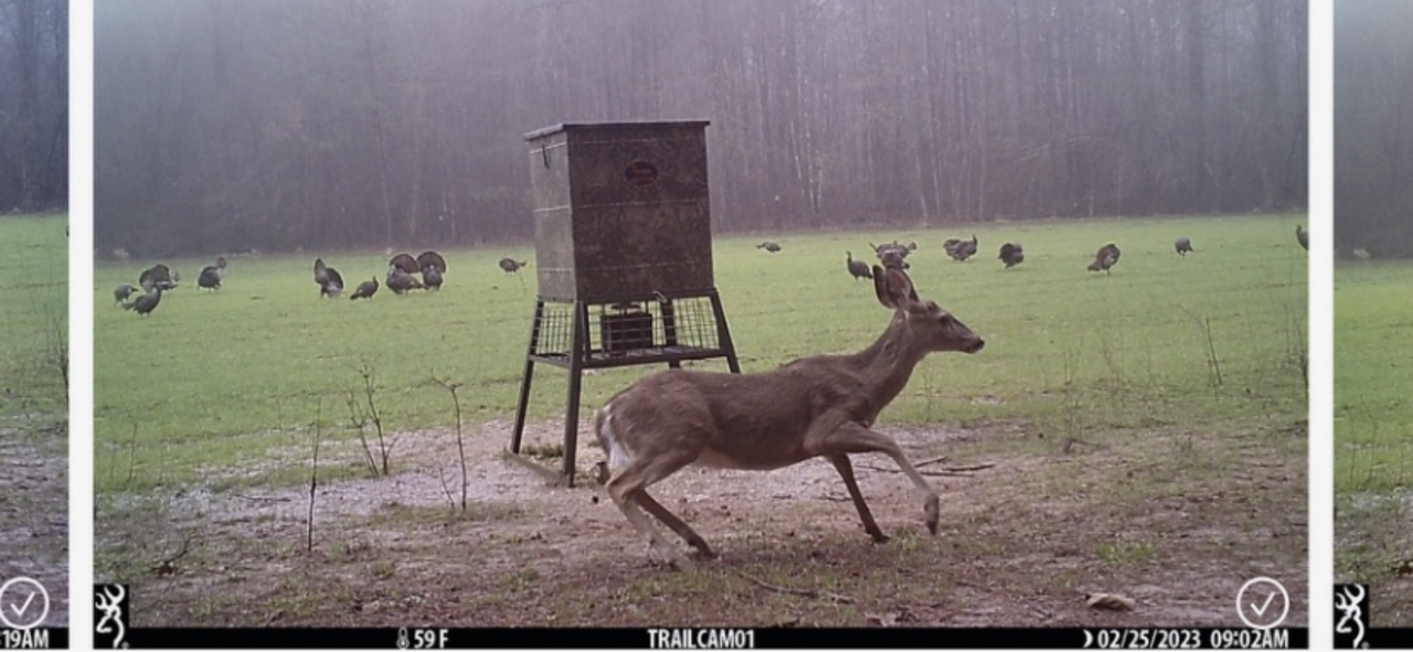 ED24C3A6-0E96-4098-868A-BC9A8D28C5C3