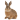 259