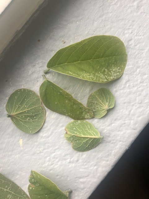 02923E80-6B79-4691-BAF5-63EEF21A83AD