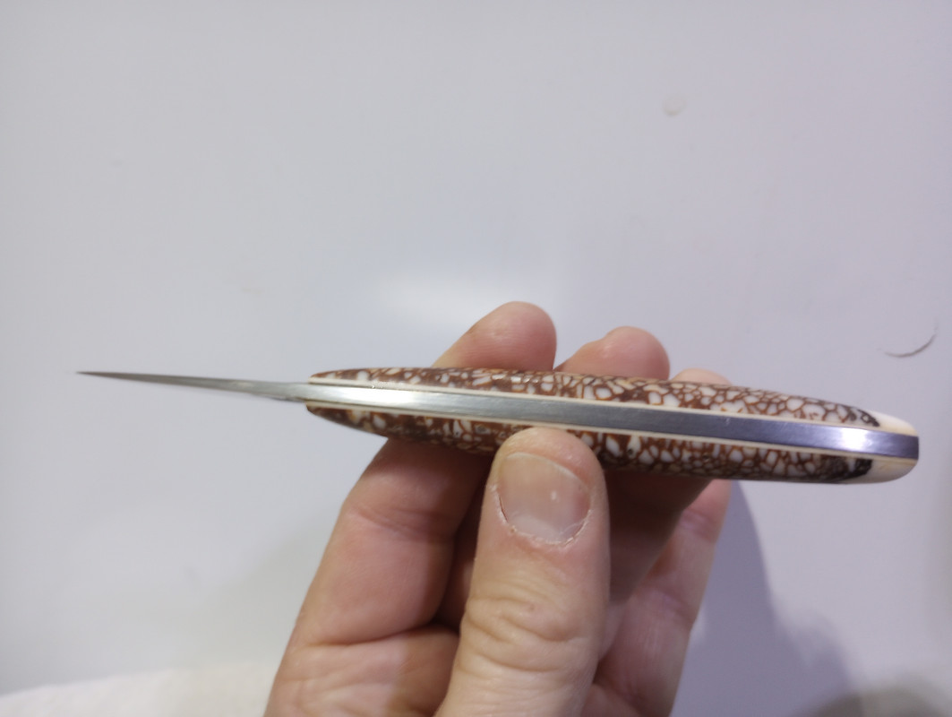 IMG_20240209_074313696