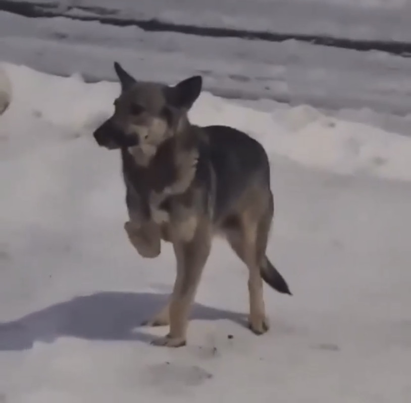 FDE53C6B-81C5-4085-9E28-7DC579D6CB3F