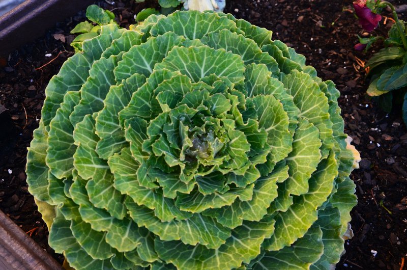 Ordino-31-10-2015 - Andorra y sus pueblos-2015 (19)