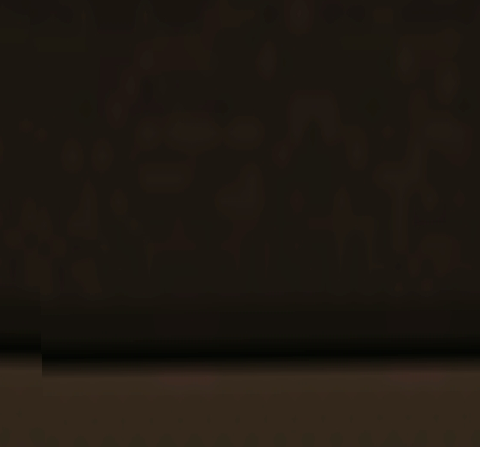 afs.png