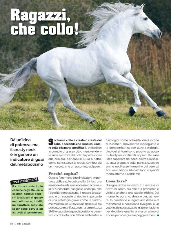 Il Mio Cav (Giu 2022) 11