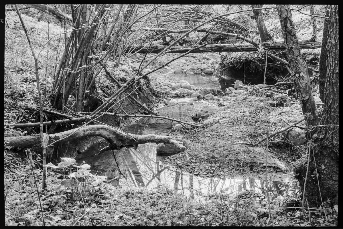 LeicaFLEX_15 apr 2022_16 (1280x855)