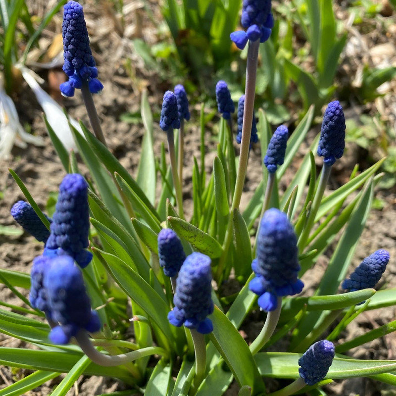 644E4D2C-DB4E-45BF-936F-A1466845B221