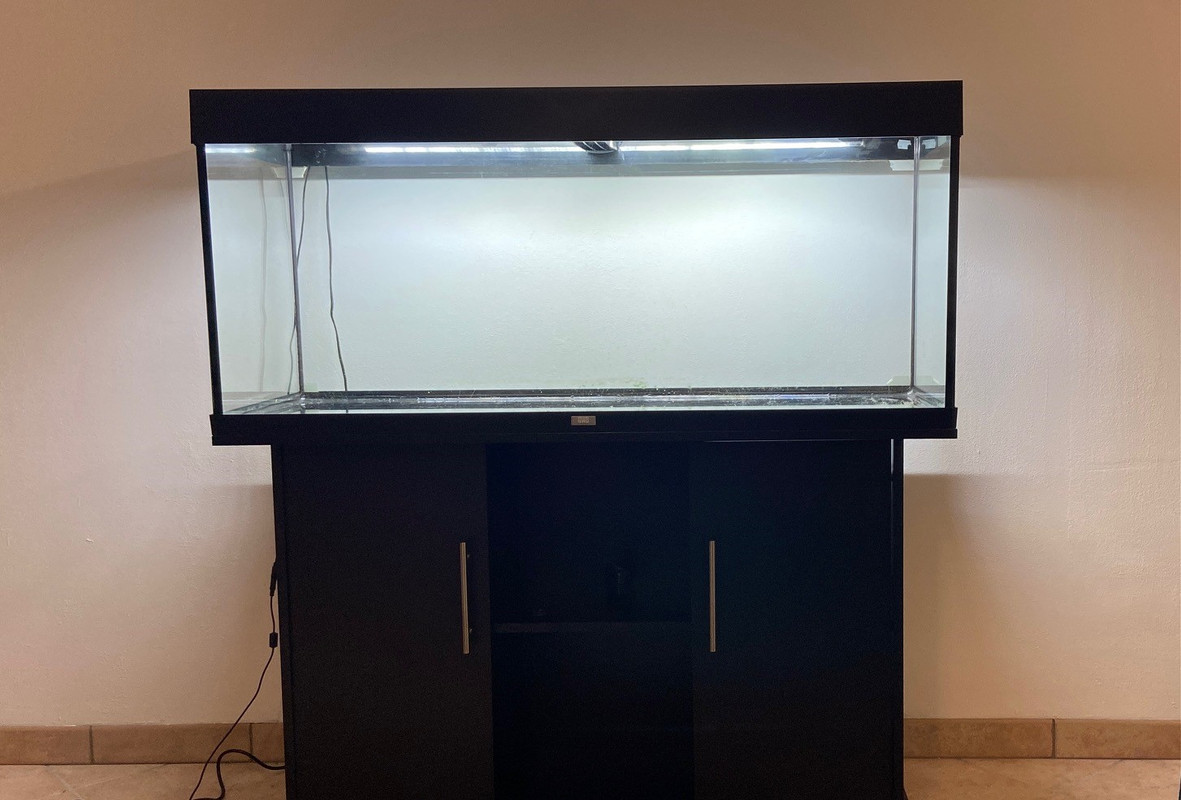 thumbnail_C6A92069-882D-4EA1-85B6-9F520C325043