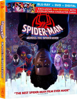 Spider-Man: Across the Spider-Verse (2023) Bluray 1080p AVC iTA/ENG/GER DTS-HD 5.1 CYBER
