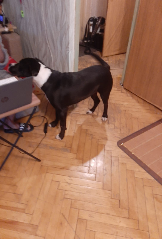 2F2467BF-C29B-490A-B2EE-24D76046859F