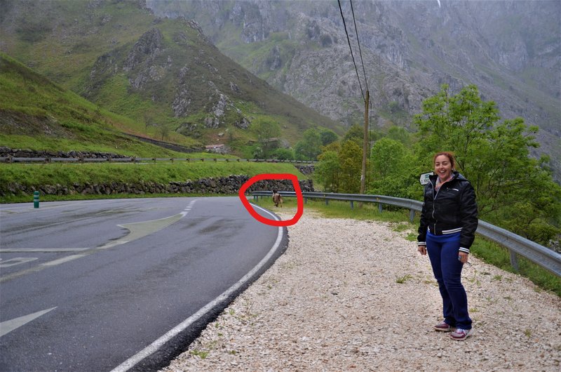 PICOS DE EUROPA-16-5-2013-LEON/ASTURIAS/CANTABRIA - Paseando por España-1991/2016 (63)