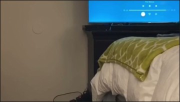 [Image: Voyeur29795090718.jpg]