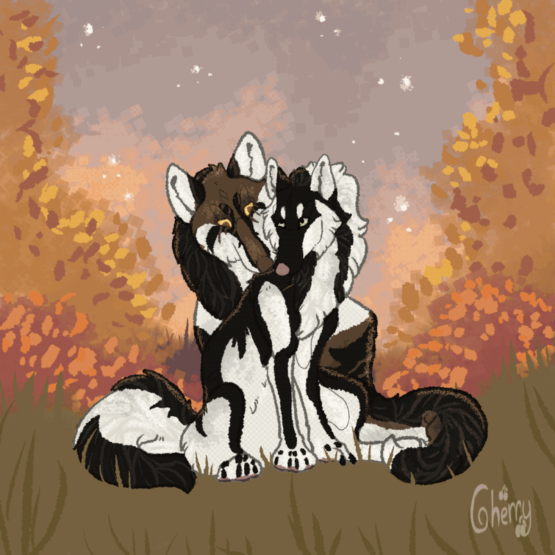 IMG-3674.gif