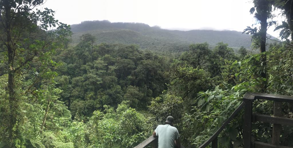 DIA 10: RIO CELESTE - DE TORTUGAS Y PEREZOSOS. COSTA RICA 2019 (20)