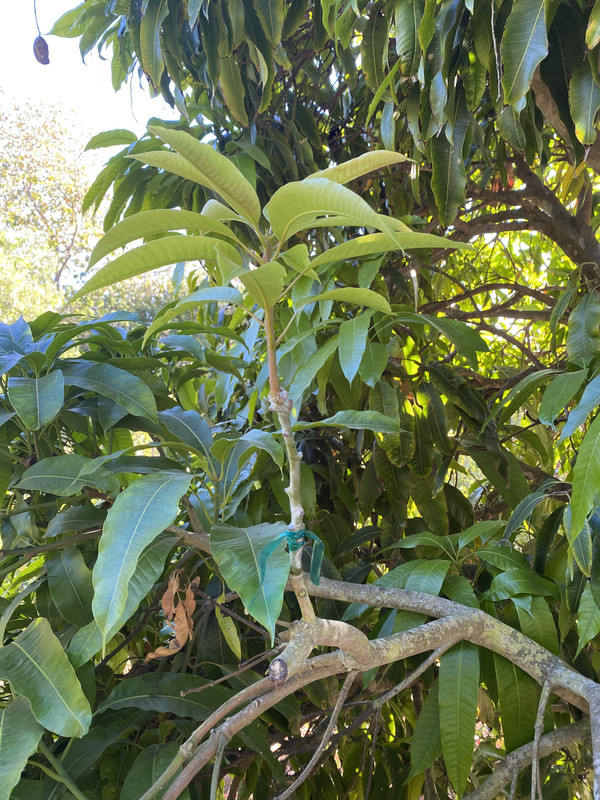 7F0A257B-260E-4B5A-997F-FC2EBD53FE5C