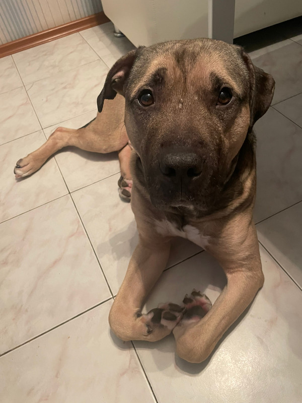 0F7B43B5-5858-4774-91AF-7A80C2EE7D5F