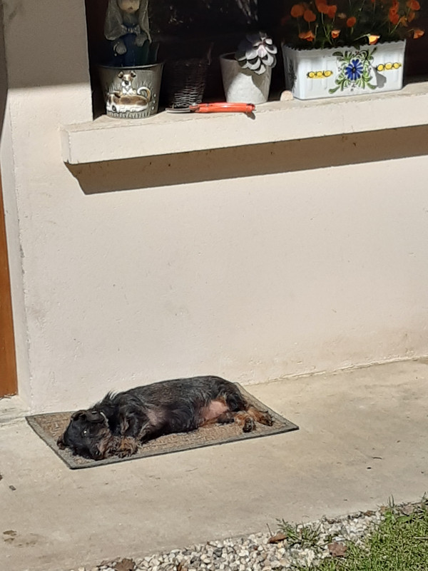 [Image: 20230408-120326.jpg]