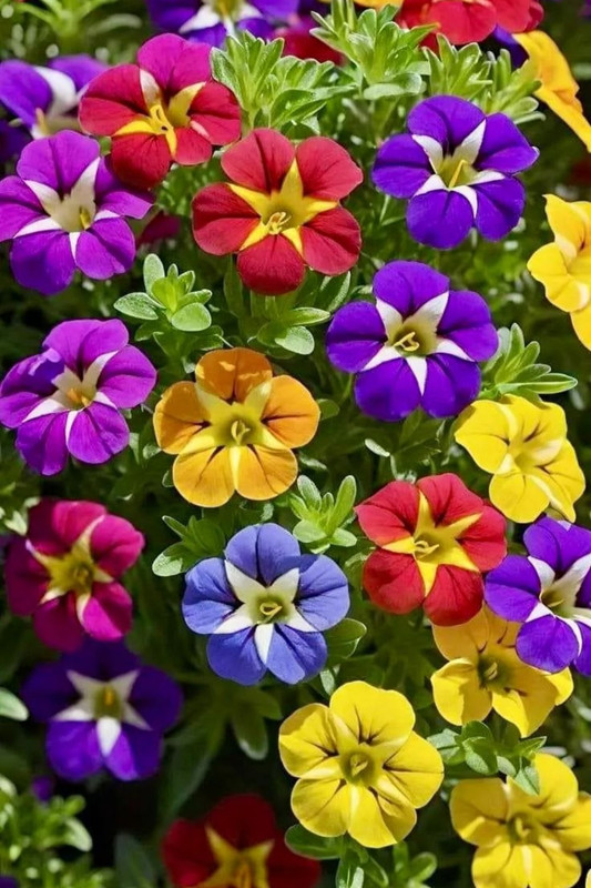 Screenshot_20240419_224920_Threads