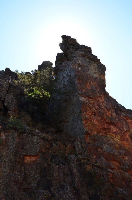 PARQUE NACIONAL DE MONFRAGÜE-2020/2023 - EXTREMADURA Y SUS PUEBLOS -2010-2023 (179)