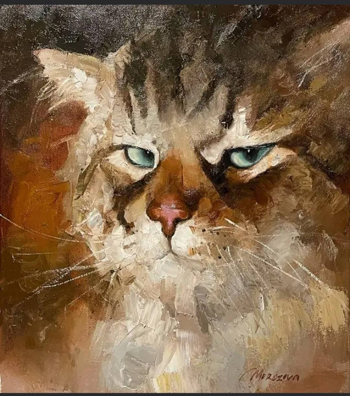 480142050-1538994553432232-7456873418284856120-n