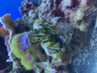 74B3B0A1-1753-4290-91E5-DAF3330C7B88