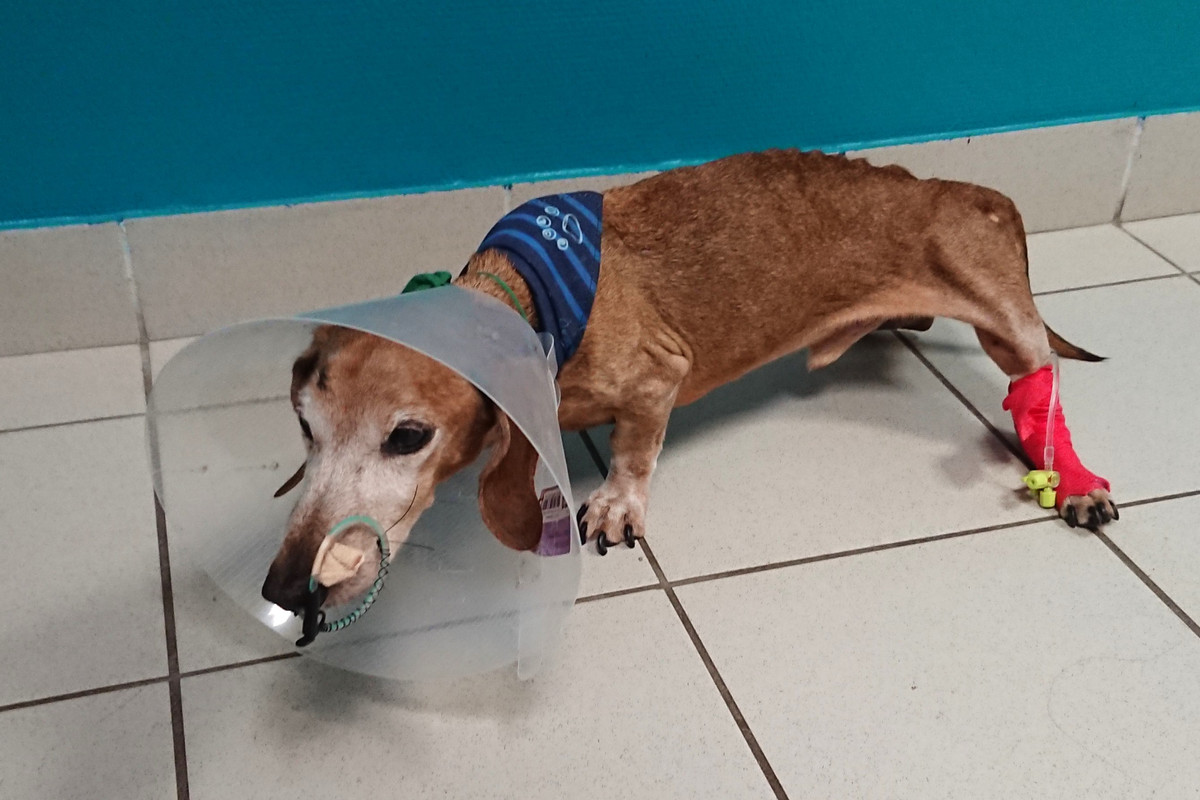 [Image: DSC-3571.jpg]