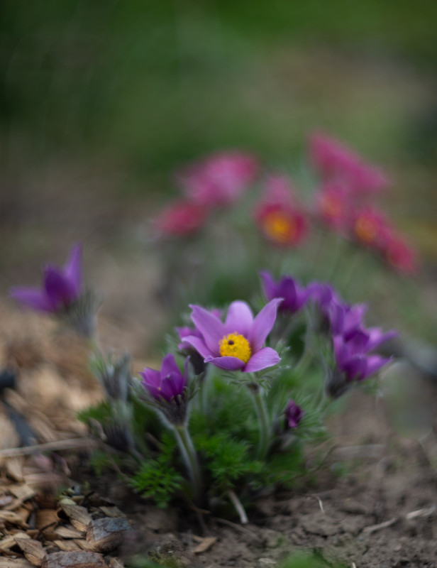 IMG-4c849b4e3611dab5248fb38032a29741-V