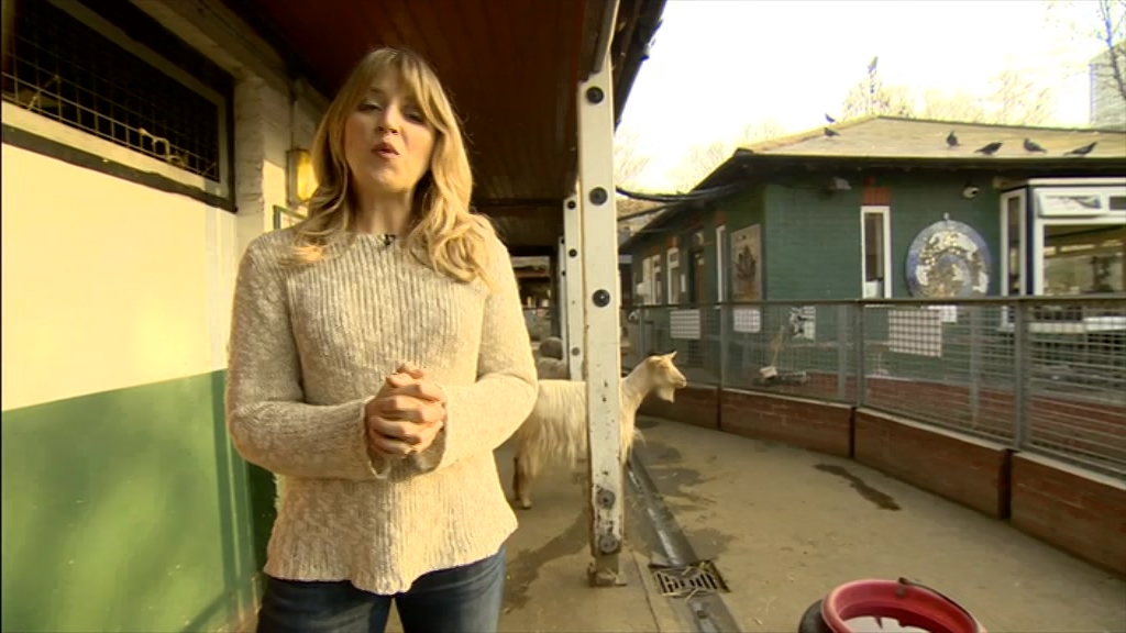 BBC London News_20220324_18301900.ts_snapshot_25.40.905