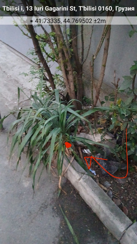 photo 2026 04 25 06 26 13