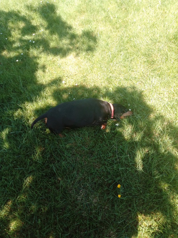 [Image: Mer-Balade.jpg]