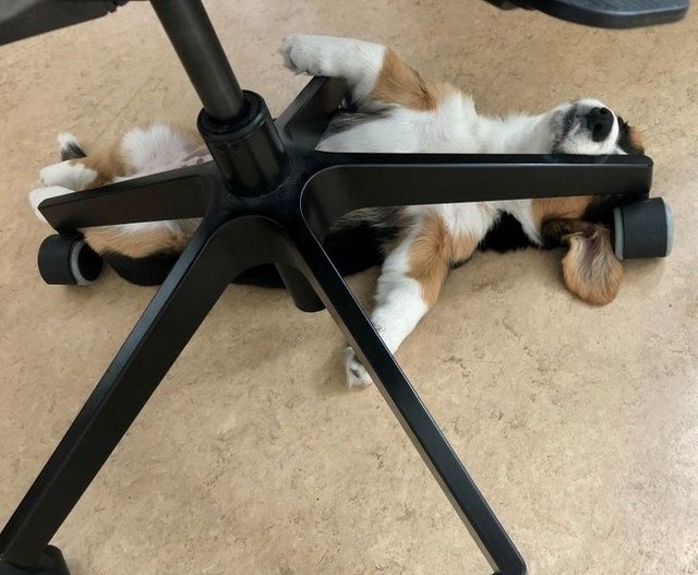 15368608-image-crop-781x643-1591557891-7