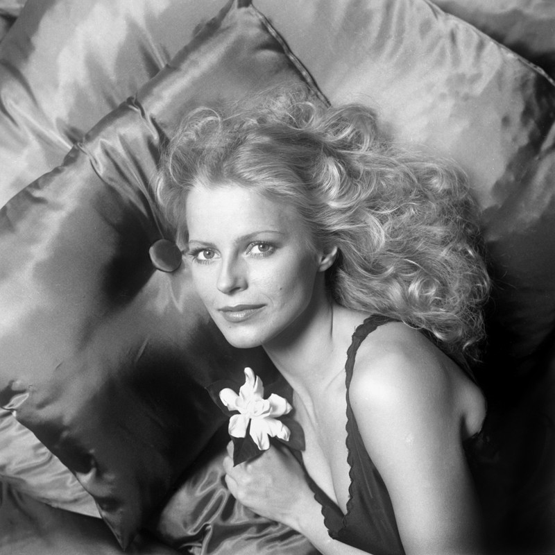 cheryl_ladd_d82