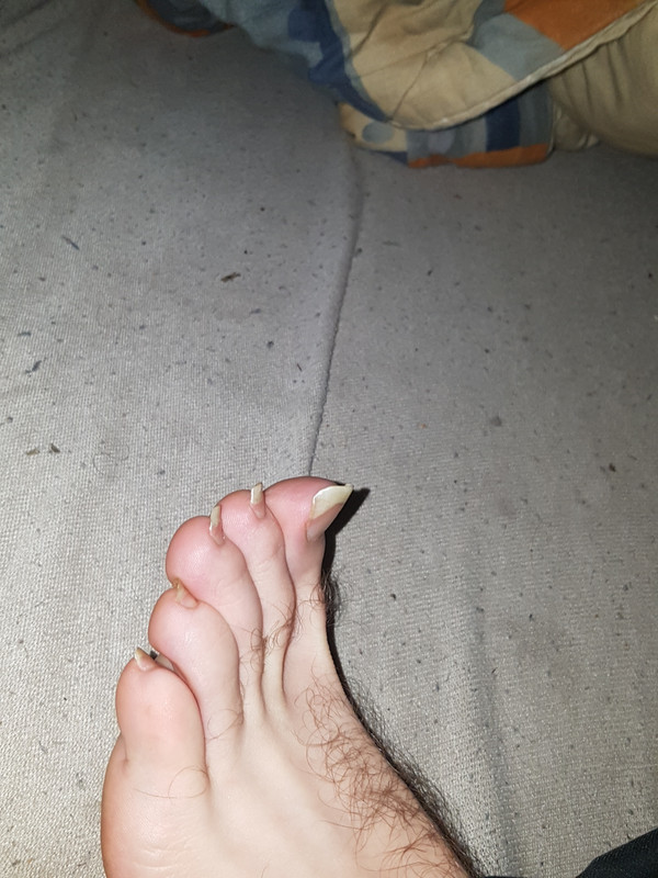 Picture_2024_12_20_05_22_35_9