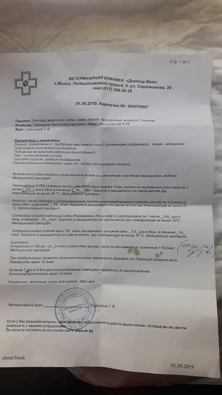 изображение_viber_2019-09-02_13-44-53