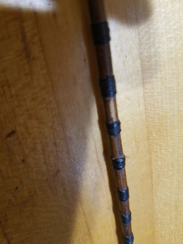 20210722_192858_resized (1)