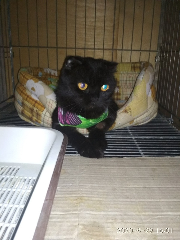 C0072C7A-F0A7-47C0-8554-B8FE61CDD87D