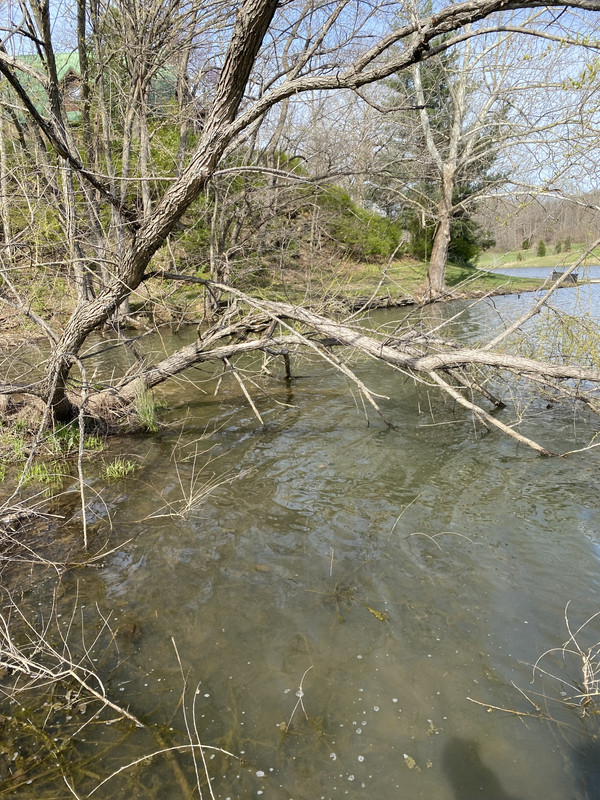 IMG-3584.jpg