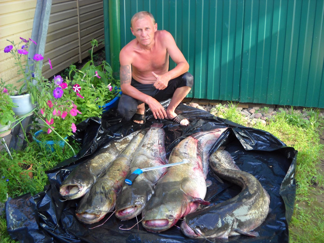 Валера Шуклин....